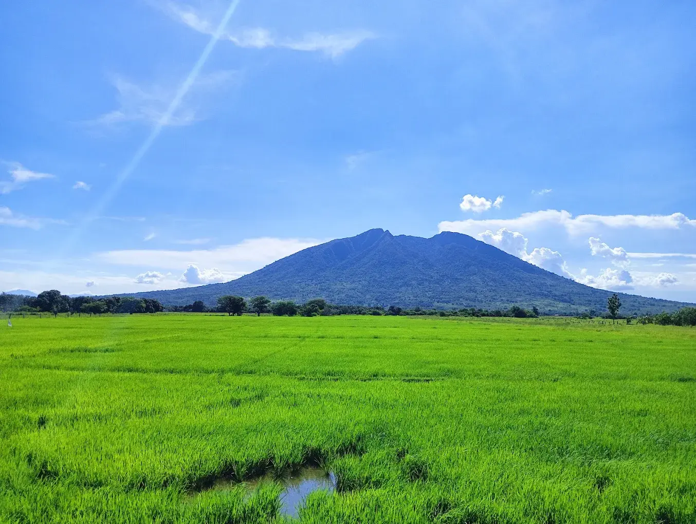 Mount Arayat beyond green fields in Pampanga